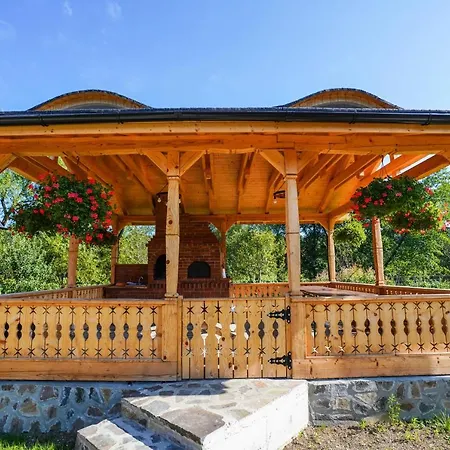Casa Morosanului Viseu de Sus