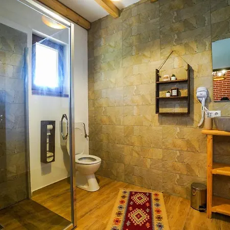 Casa Morosanului Guest house