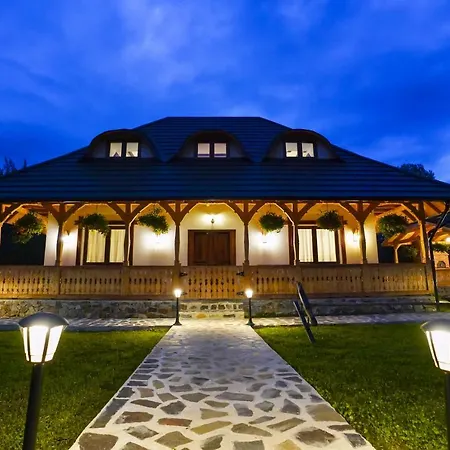 Casa Morosanului Viseu de Sus