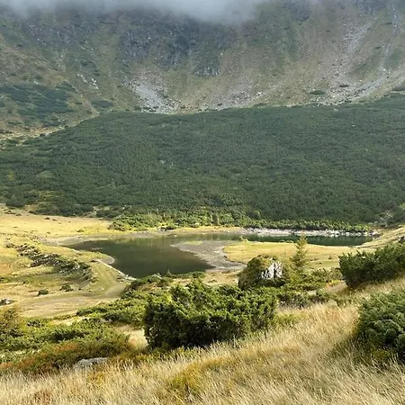 Casa Morosanului 3*