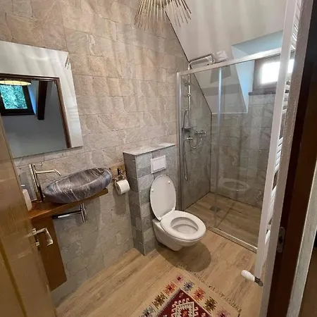 Casa Morosanului 3*