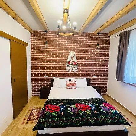 Casa Morosanului Guest house Viseu de Sus