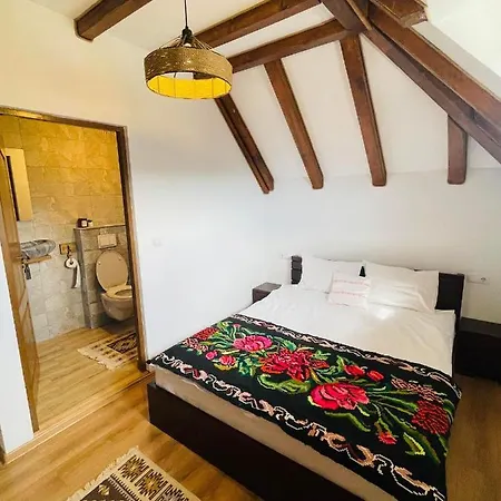 Casa Morosanului Viseu de Sus